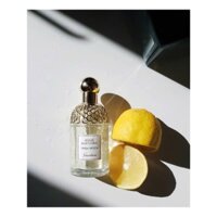 Guerlain Aqua Allegoria Herba Fresca EDT