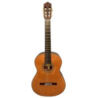 Guitar Acoustic Ecole E600