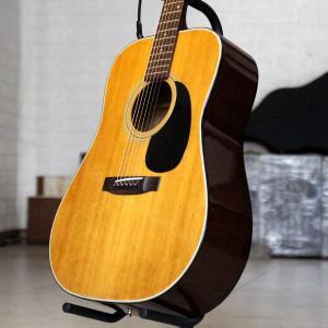 Đàn Guitar Acoustic Morris W-20