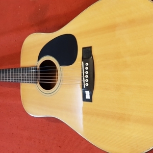 Đàn Guitar Acoustic Morris W-20
