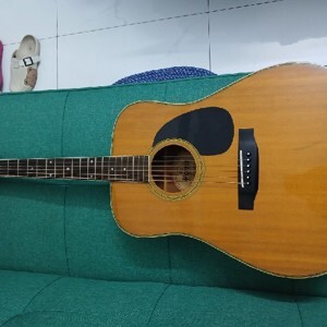 Đàn Guitar Acoustic Morris W-30