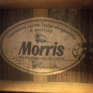Đàn Guitar Acoustic Morris W-30