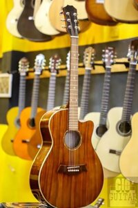 Guitar Acoustic Ms167