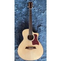 Guitar Acoustic P-230AD