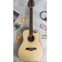 Guitar Aucostic 6