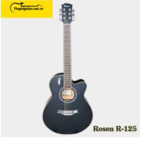 Guitar Aucoustic Rosen R-125