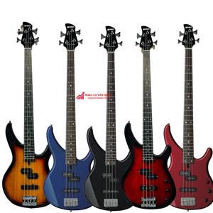 Đàn Guitar Bass Selder