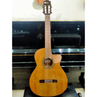 Guitar C450