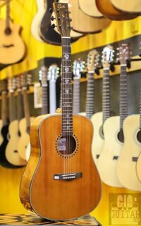 Guitar Cate QM-715LD