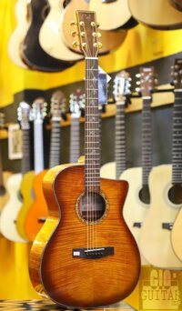 Guitar Cate QM-804