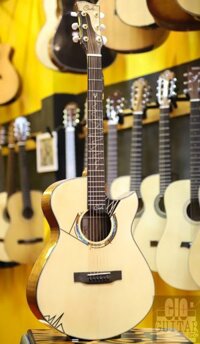 Guitar Cate QM80-T2