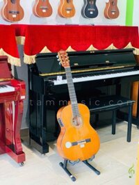 GUITAR CLASSIC CÓ EQ DL-Q39CE