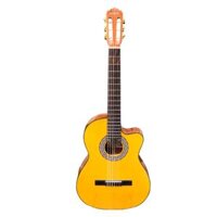 Guitar Classic Flamenco JX10G có EQ.