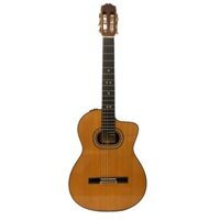 Guitar Classic Takamine PTG 018