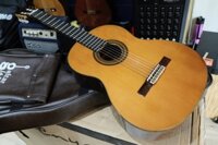 Guitar classic Yamaha C250