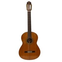 Guitar Classic Yamaha G300