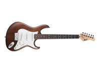 Guitar điện Cort G100 OPW ( Electric Guitar Cort G100 OPW)