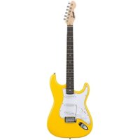 GUITAR ĐIỆN SELDER