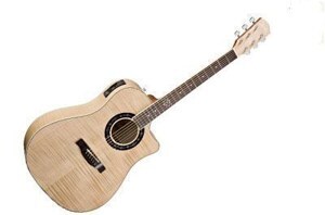 Guitar Fender T-Bucket 400CE