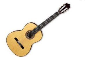 Guitar Ibanez G200 ENT