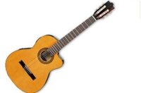 Guitar Ibanez G5-ECE