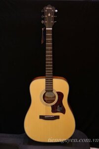 Guitar Mantic Ag 370