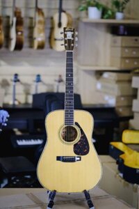 Guitar Morris W30