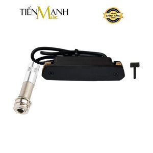 Guitar Pickup Fishman