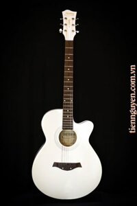 Guitar Victoria WG 405CE/WH