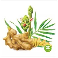 Gừng khô (Can khương) gói 1kg - TTM282