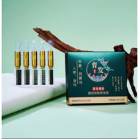 Gừng Polygonum multiflorum Nhân Sâm chống rụng tóc làm dày và chống rụng tóc tinh chất thảo dược tóc daotien