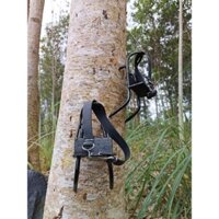 guốc trèo cây _bộ dụng cụ trèo cây tiện lợi