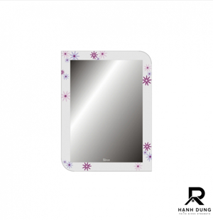 GƯƠNG MÀU DINHQUOC-509B