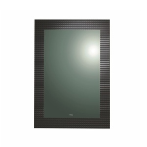 Gương soi phòng tắm DQ-5004