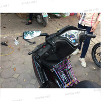 Gương rizoma 744 - Xuyên Việt