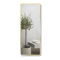 Gương soi toàn thân khung viền nhôm 60x160cm GLS