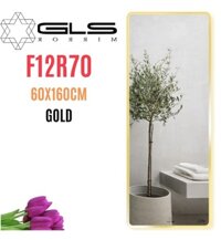 Gương Viền Nhôm Vàng Body Toàn Thân 60x160cm GLS F12R70