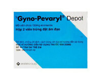 GYNO-PEVARYL DEPOT