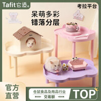 H001 Hamster Nền Tảng Hai Tầng Hamster Nền Tảng Cơ Bản Hamster Nền Tảng Gấu Vàng Nền Tảng Cảnh Quan Đa Năng Lồng Cung Cấp
