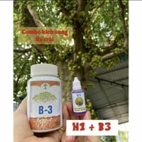 h1 b3 siêu kích hoa và trái cho sung và cây cảnh cây bonsai hoa lan