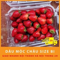 (Hà Nội) Dâu Tây Mộc Châu dâu bi