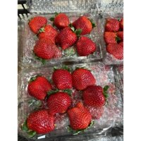 [Hà Nội SHIP HỎA TỐC] Dâu Tây Mộc Châu Hàng Công Nghệ Cao