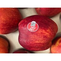 (HÀ NỘI) Táo đỏ Hà Lan JOLY RED