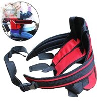 Haha Dây đeo xe đạp trẻ em có dải phản quang có thể điều chỉnh cho bé Xe máy Dây xích cho trẻ em Dây đai ghế xe đạp VN