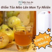 Hai lít giấm táo hữu cơ lên men tự nhiên bằng đường phên đỏ và quả táo mèo hoang dã đồi thông núi Mẫu Sơn nhà làm