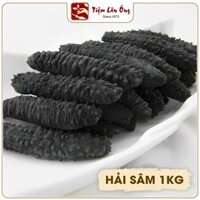 Hải sâm khô 1kg, dùng hầm canh, nấu cháo, chế biến các món xào - Tiệm Lãn Ông
