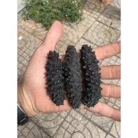 Hải sâm khô Indo size 4 con / 100g