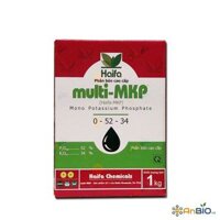 Haifa MKP 0-52-34 | GIÚP PHÂN HOÁ MẦM HOA – RA RỄ MẠNH - Hộp 1Kg
