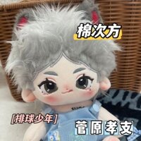 👉🔥Haikyu🔥👈sugawara koushi.đồ chơi con gái.dễ thương.anime Ngoại vi doll.20CM búp bê