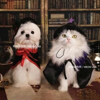Halloween Mèo Trang Phục Thú Cưng Phù Thủy Cosplay Mèo Chó Nhỏ Quần Áo Trang Phục Phù Thủy Mũi Có Mũ Thú Cưng Trang Phục Trang Phục